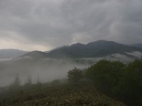 img (39)